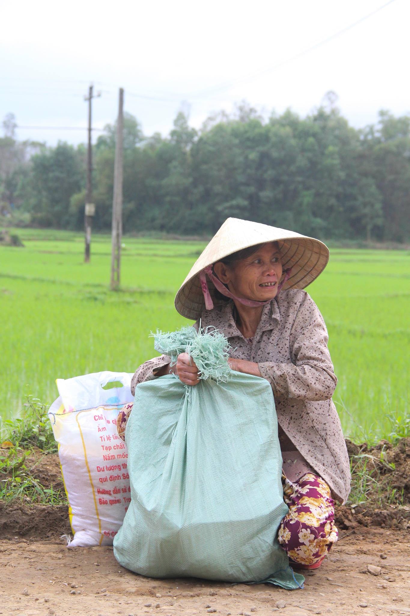 15895565_1328552587165728_5303290445500761155_o